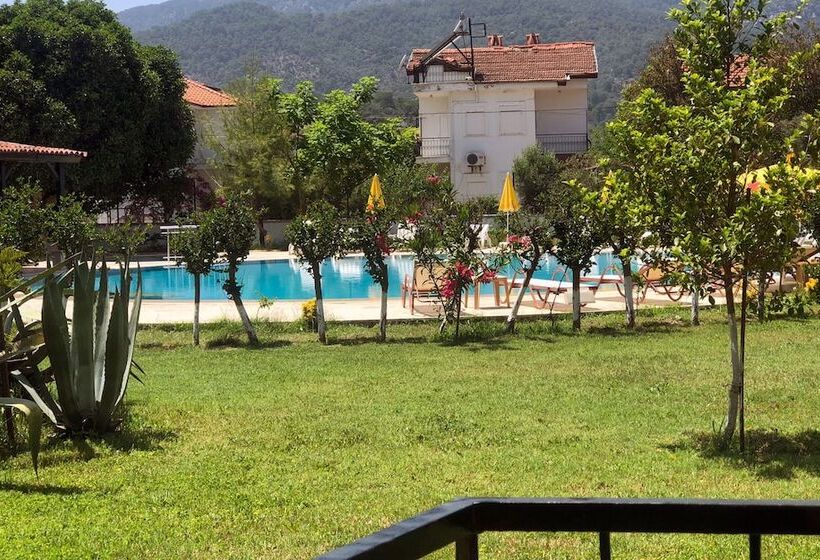 Номер Стандарт, Palme Dalyan