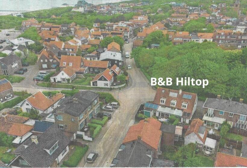 标准间, Hiltop