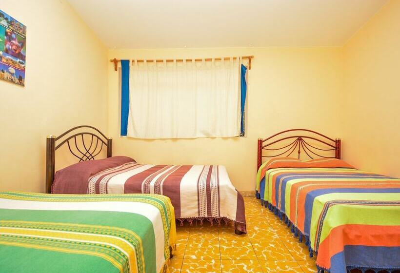 اتاق خانوادگی, Los Nardos Hostel