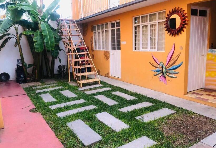 اتاق اکونومی, Los Nardos Hostel