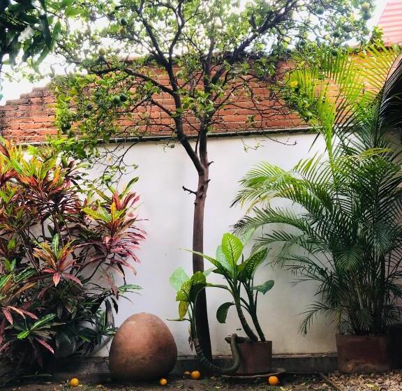 اتاق اکونومی, Los Nardos Hostel