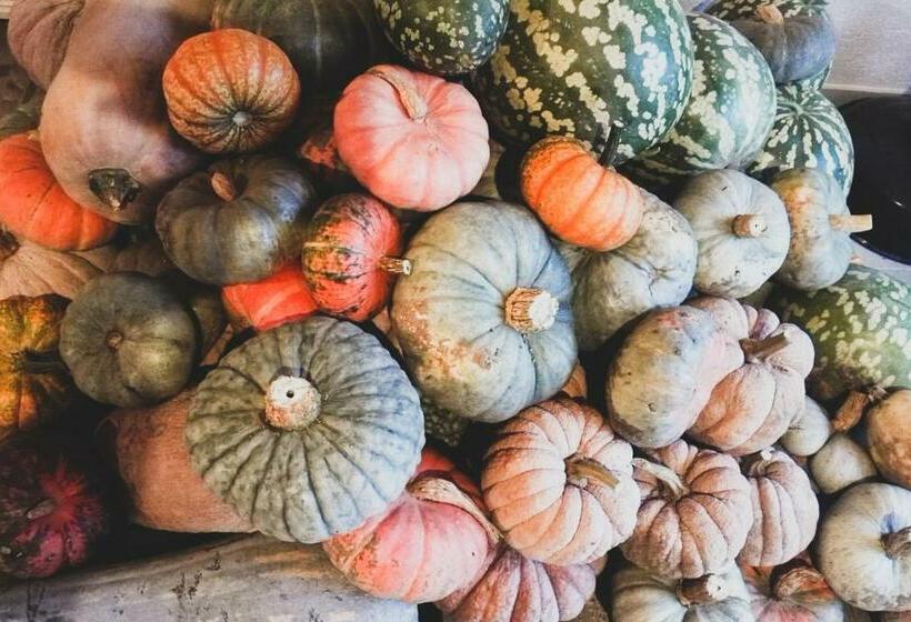标准间, Agriturismo Fiori Di Zucca