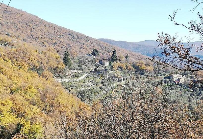 Четырехместный номер эконом класса с общей ванной комнатой, Agriturismo Casamatta Azienda Agricola