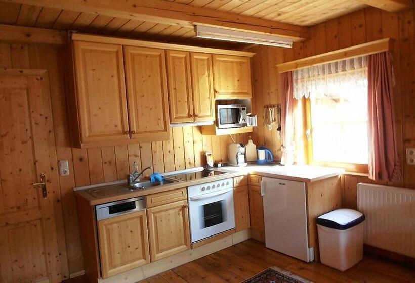 Апартаменты 1 Спальня с Балконом, Bauernhof Hatzlhof