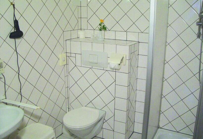Номер Стандарт Индивидуальный, Liezenerhof