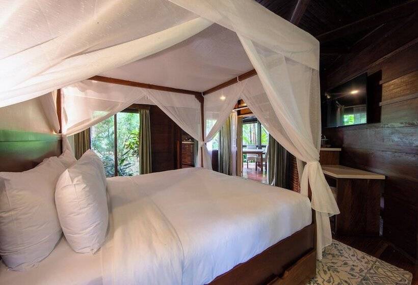 بانگلوی لوکس, Chachagua Rainforest Hotel & Hot Springs