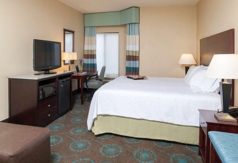 Quarto Standard Cama King para Deficientes, Larkspur Landing South Bend