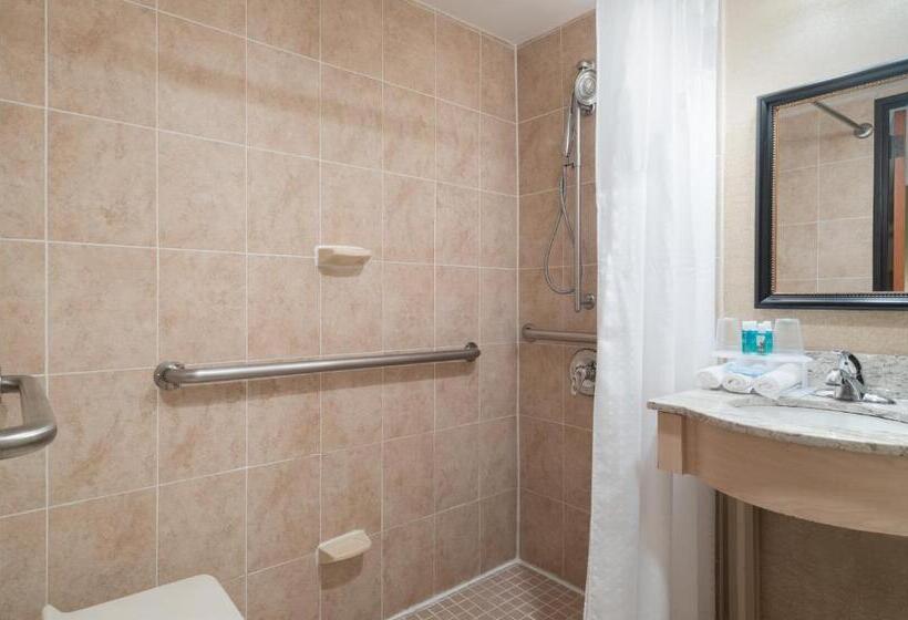 اتاق استاندارد با تخت بزرگ برای معلولان, Holiday Inn Express Wall Street, An Ihg Hotel