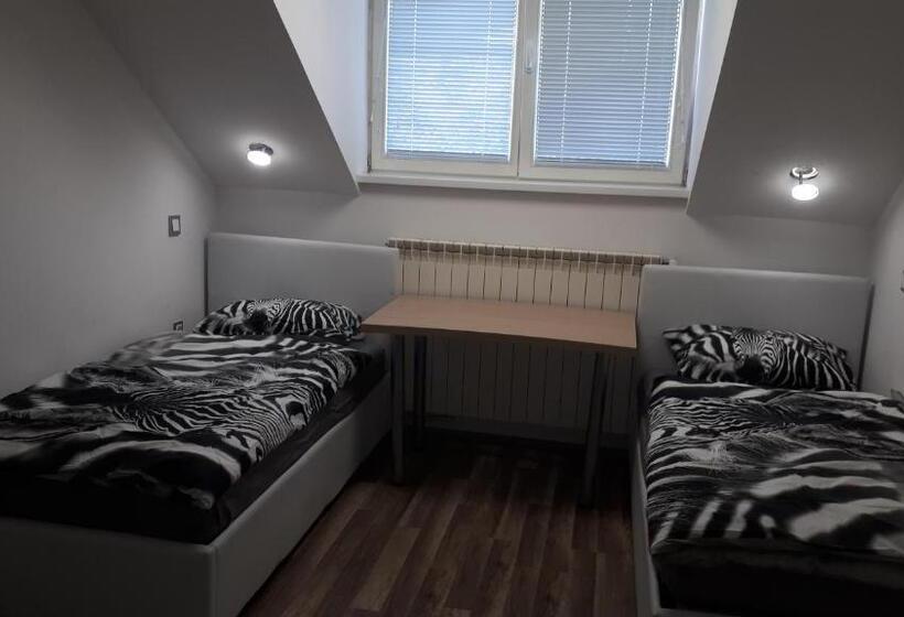 اتاق استاندارد چهارنفره با سرویس بهداشتی مشترک, Tabor   Apartments Rozmanova Street