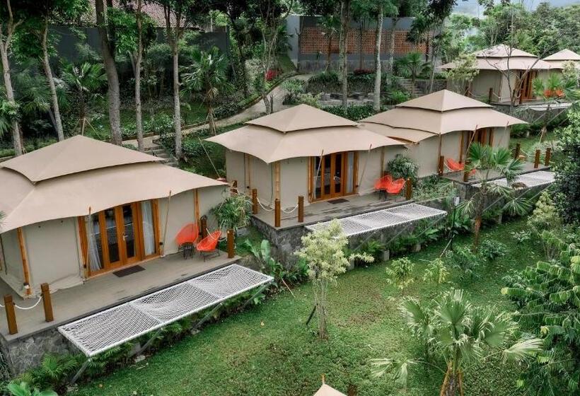 Standard Tent, Jsi Resort
