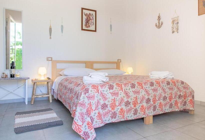 استودیوی استاندارد, Tenuta Don Carmelo