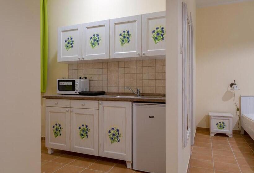 Апартаменты Deluxe 1 Спальня, Balzsam Apartmanház