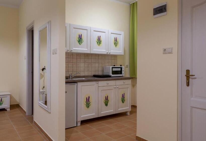 Апартаменты Deluxe 1 Спальня, Balzsam Apartmanház
