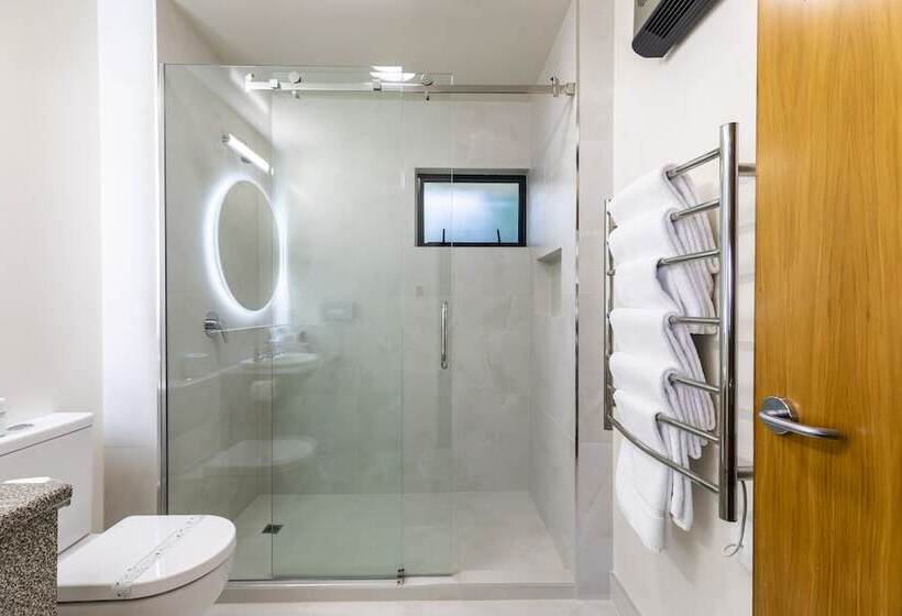Апартаменты 1 Спальня, Bella Vista Motel Wellington