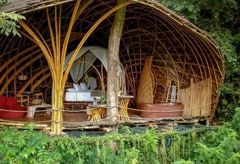 سوییت, Bambu Indah