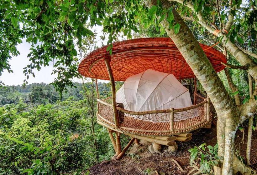 Standard Tent, Bambu Indah