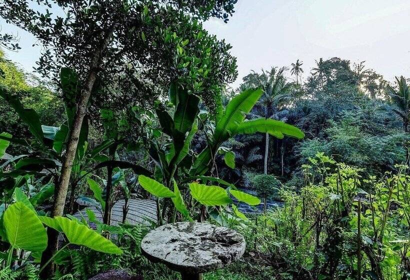 디럭스 룸, Bambu Indah