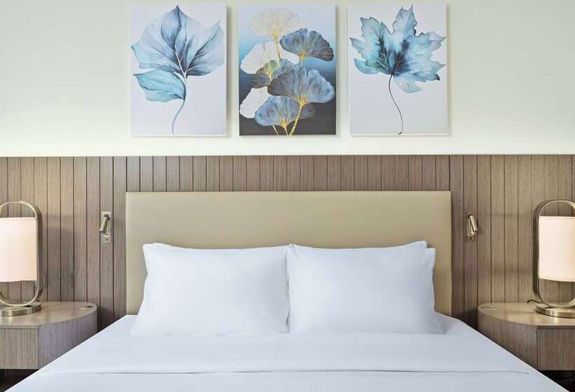اتاق اجرایی با تخت بزرگ, Hilton Windhoek