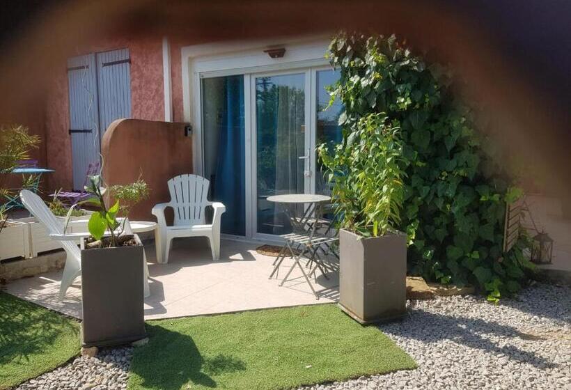 اتاق استاندارد, Les Lézards 2 Au Soleil