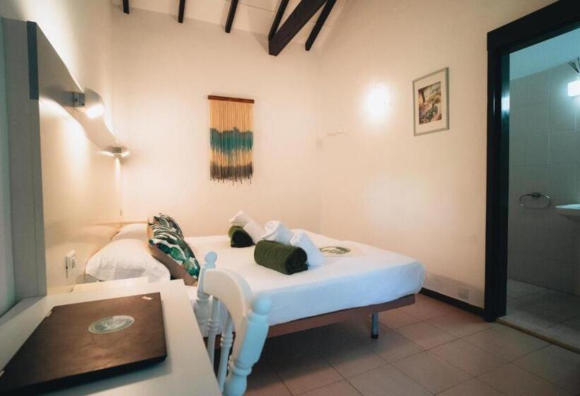 스탠다드 룸, Cactus Hostel