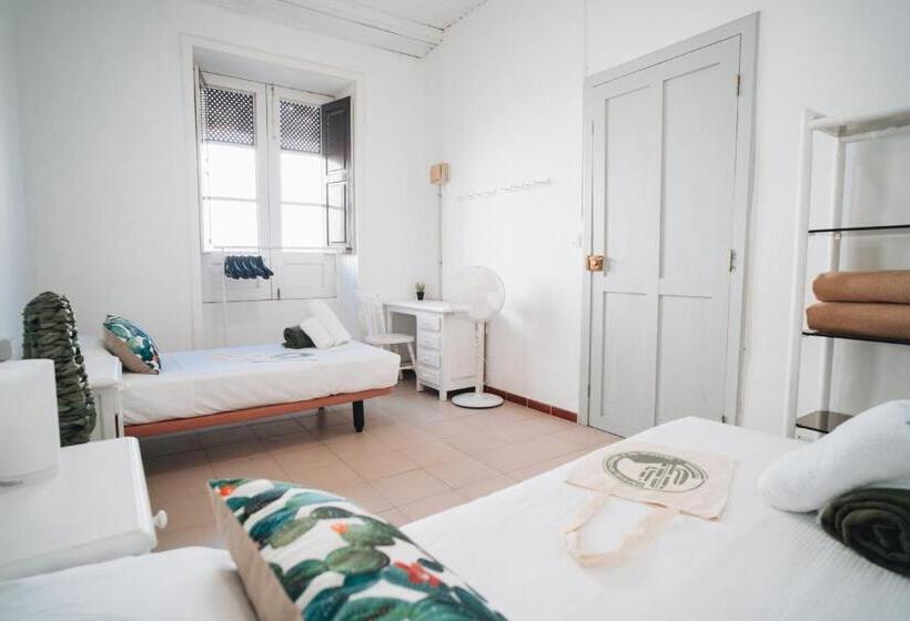 공용 욕실 구비 공동 객실 내의 침대, Cactus Hostel