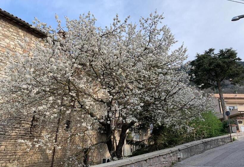 디럭스 룸, Residenza Via Dante