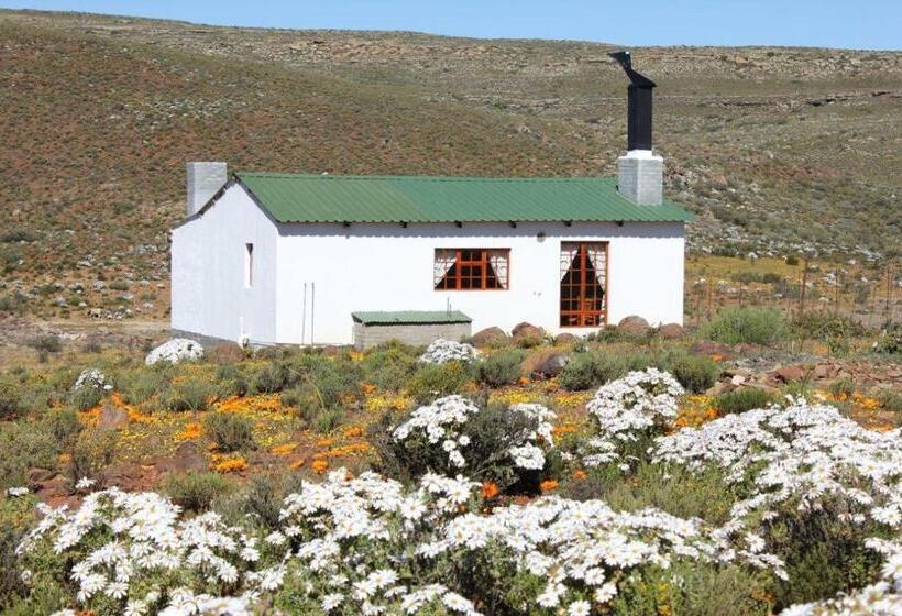 Семейный Номер, Middelfontein Farm