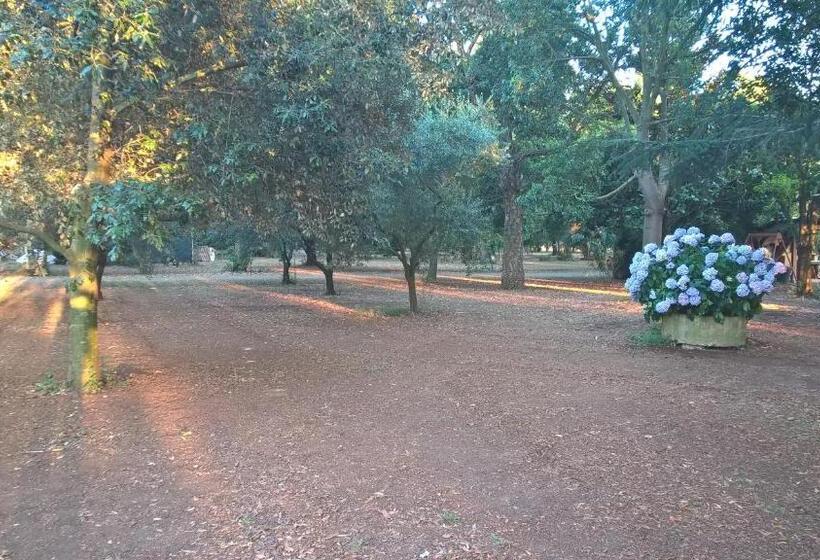 디럭스 트리플 룸, Agriturismo La Giannottola