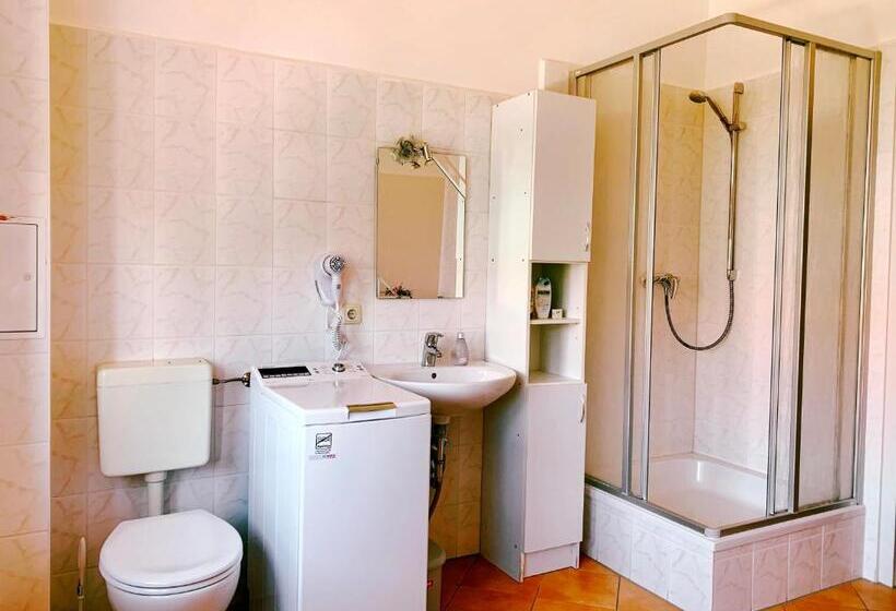 Апартаменты 2 Спальни, Traditionsgasthaus Goldener Löwe Riesa Restaurant & Pension