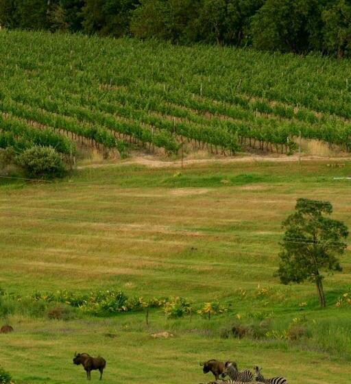 اتاق لوکس, Wildlife Retreat On A Wine Farm