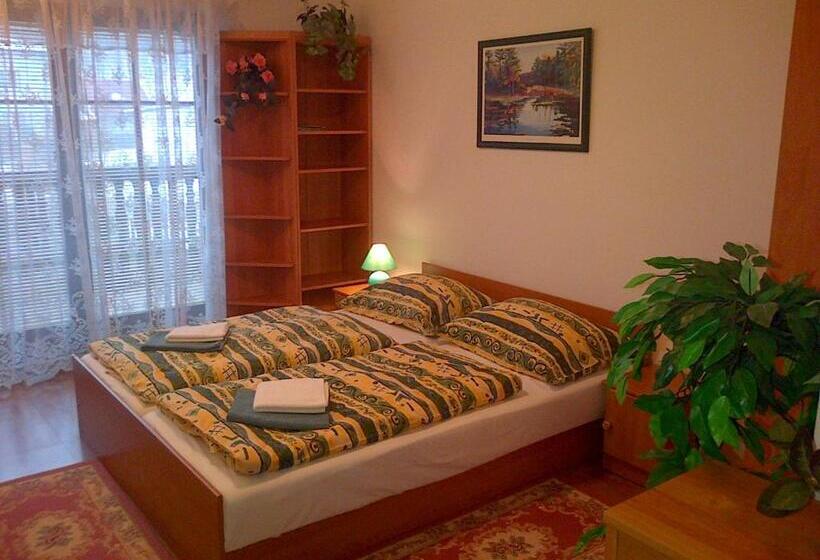 Апартаменты 2 Спальни, Penzion Beskyd