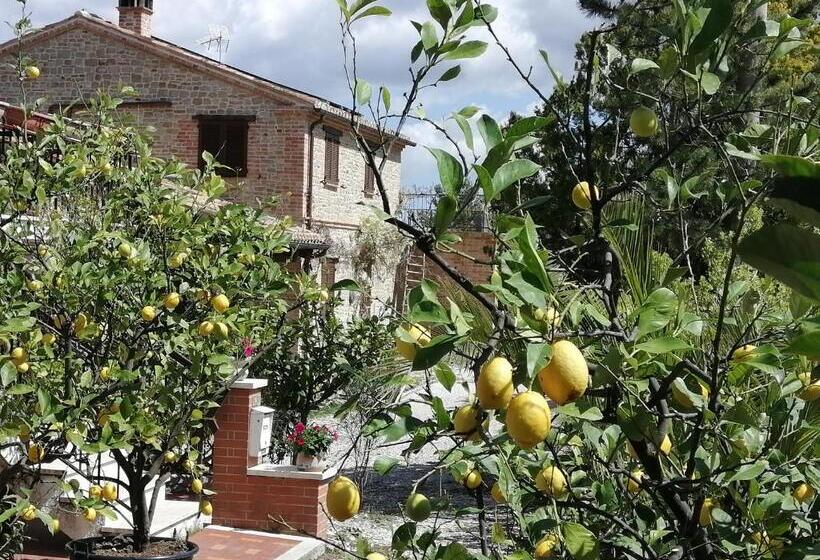 Апартаменты Deluxe 1 Спальня, Casale San Martino Agriturismo Bio