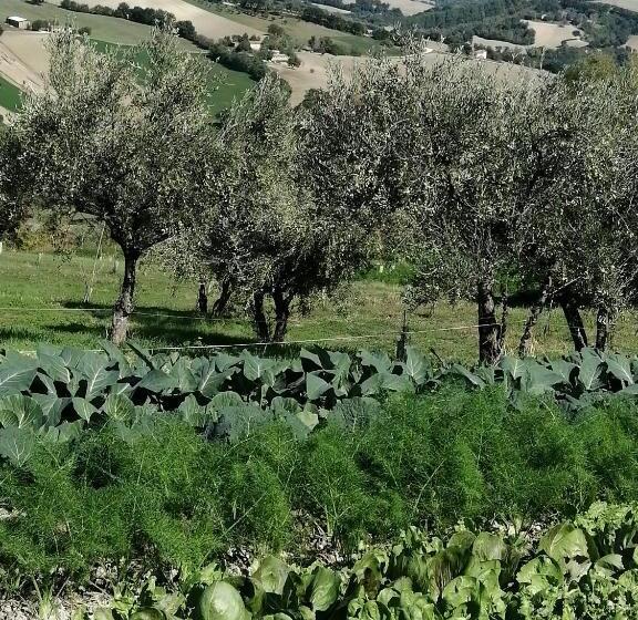 Апартаменты 2 Спальни, Casale San Martino Agriturismo Bio