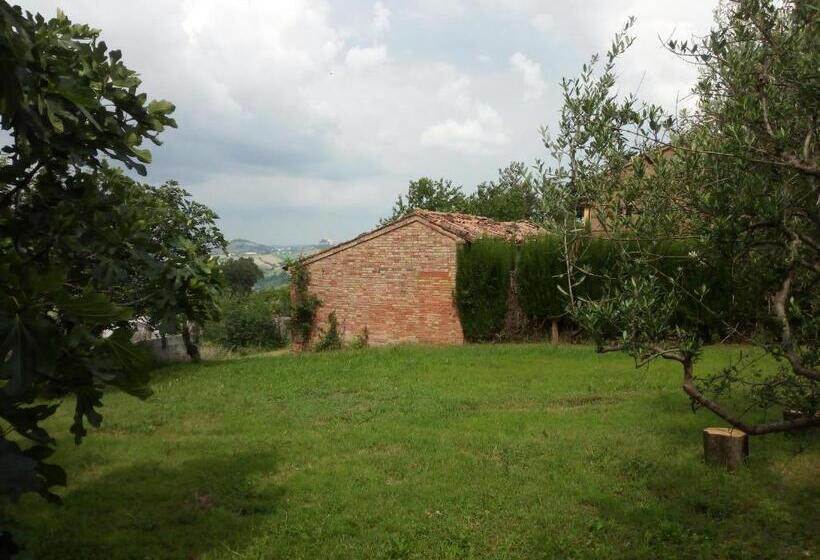 Апартаменты 1 Спальня Нижний Этаж, Casale San Martino Agriturismo Bio