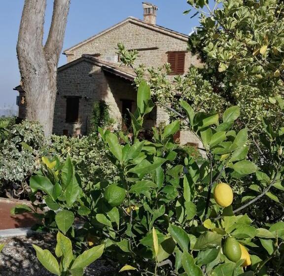 Апартаменты 1 Спальня Нижний Этаж, Casale San Martino Agriturismo Bio