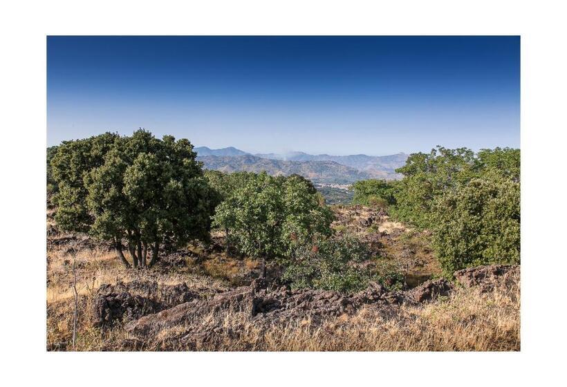 آپارتمان 1 خوابه با چشم‌انداز دریا, Ecoagriturismo Notti Stellate Etna Mare