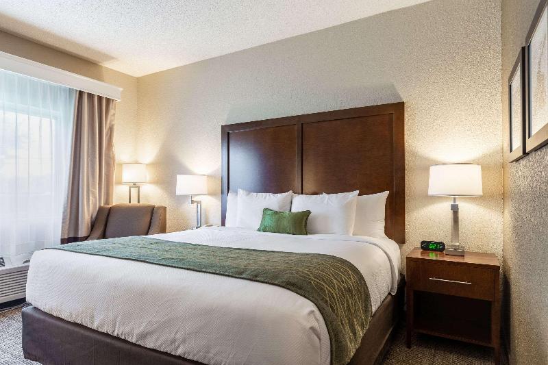 스탠다드 룸 킹사이즈 침대, Comfort Inn South Tulsa   Woodland Hills