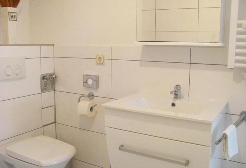 Номер Basic, Apartment Storchenfärbe