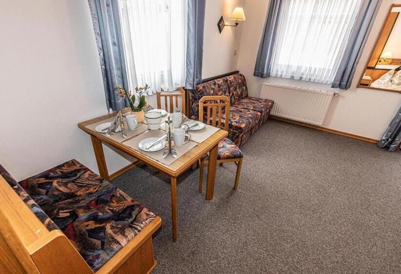 شقة غرفة نوم واحدة مزودة بشُرفة, Seeappartements Bacher