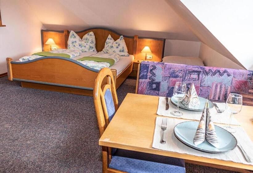 شقة غرفة واحدة, Seeappartements Bacher