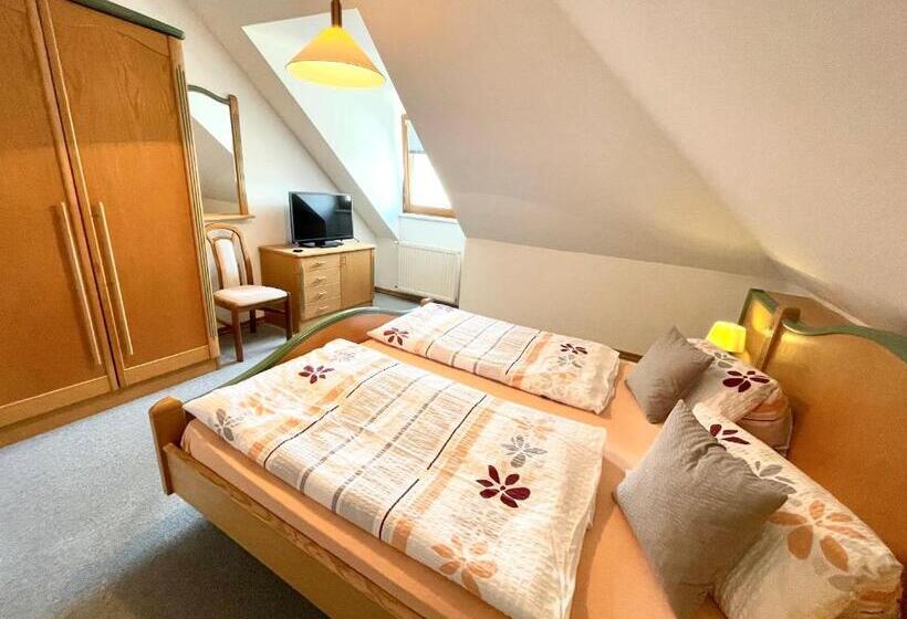 شقة غرفة واحدة ذات إطلالة, Seeappartements Bacher