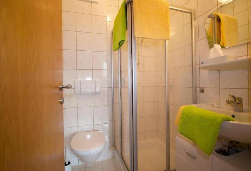 Апартаменты 1 Спальня с Балконом, Seeappartements Bacher