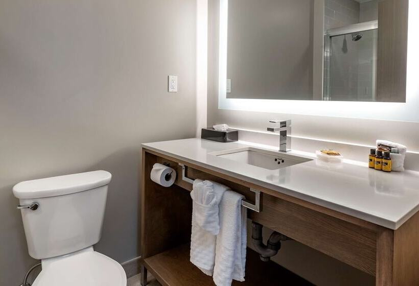 スイート, Best Western Plus Dartmouth Hotel & Suites