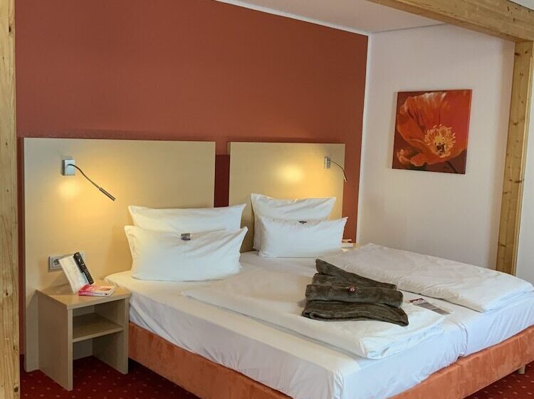Полулюкс, Altstadthotel Arte