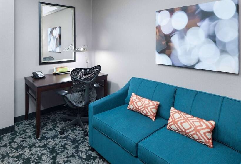 Люкс Повышенной Комфортности, Hilton Garden Inn Detroit/novi