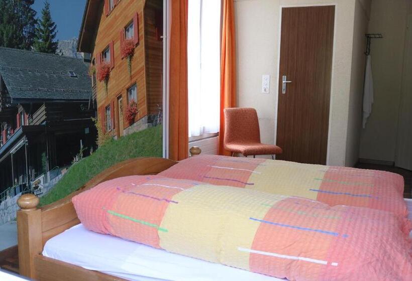 Номер Стандарт, Adrenalin Backpackers Hostel