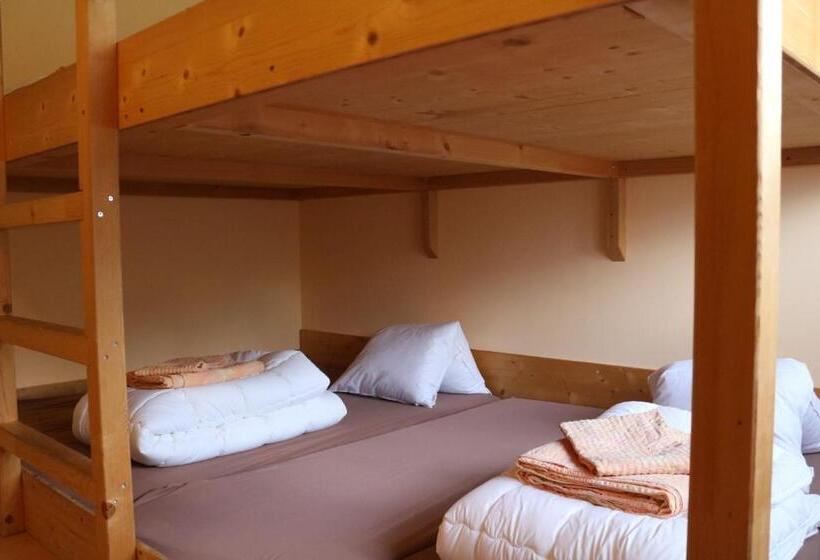 Кровать в Общей Комнате, Adrenalin Backpackers Hostel