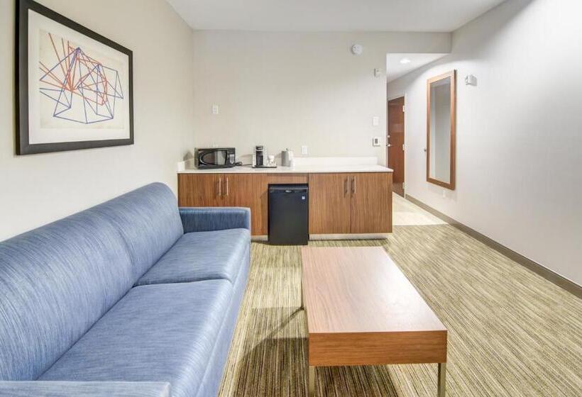 جناح لذوى الاحتياجات الخاصة, Holiday Inn Express Hotel & Suites Foley, An Ihg