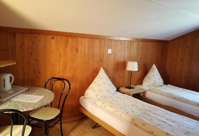 اتاق خانوادگی, Gasthof Schoenegg B&b