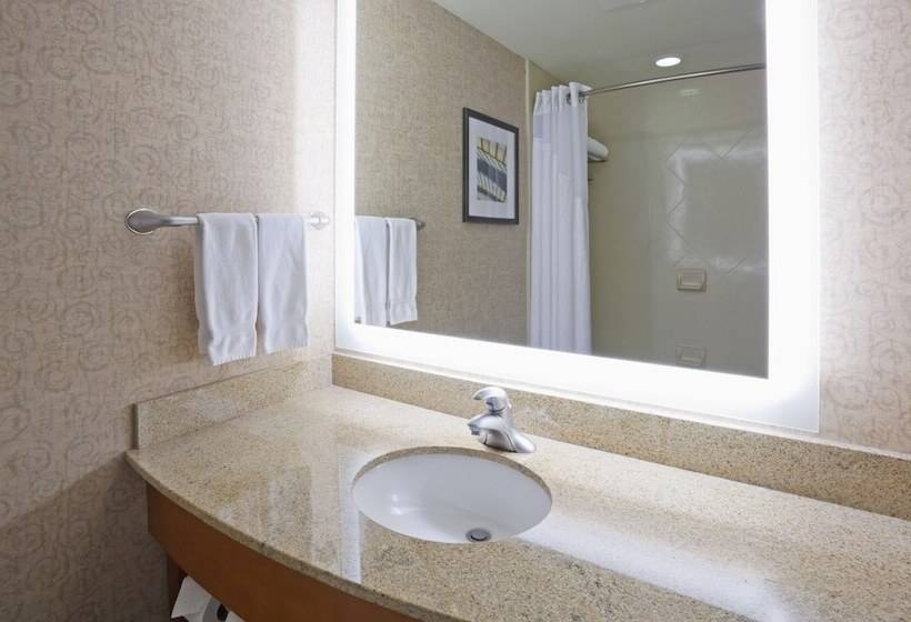 Люкс, Holiday Inn Hotel & Suites Maple Grove Northwest Minneapolis Arbor Lakes, An Ihg